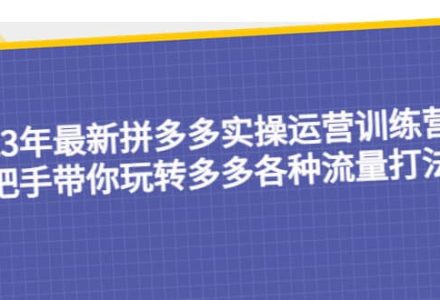 23年最新拼多多实操运营训练营：手把手带你玩转多多各种流量打法！-创艺项目网