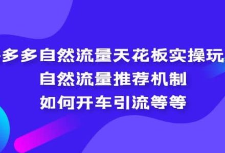 拼多多自然流量天花板实操玩法：自然流量推荐机制，如何开车引流等等-创艺项目网