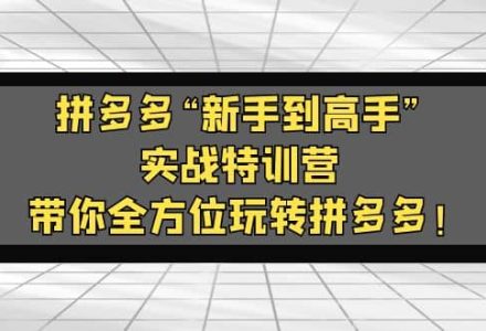 拼多多“新手到高手”实战特训营：带你全方位玩转拼多多-创艺项目网