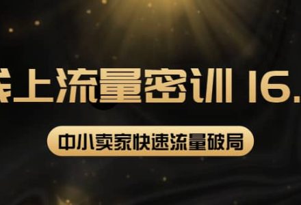 2022秋秋线上流量密训16.0：包含 暴力引流10W 中小卖家流量破局技巧 等等！-创艺项目网