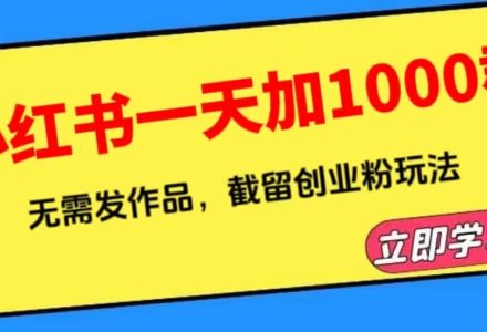 小红书一天加1000群，无需发作品，截留创业粉玩法 （附软件）-创艺项目网