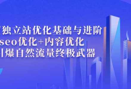 外贸独立站优化基础与进阶，seo优化 内容优化 引爆自然流量终极武器-创艺项目网