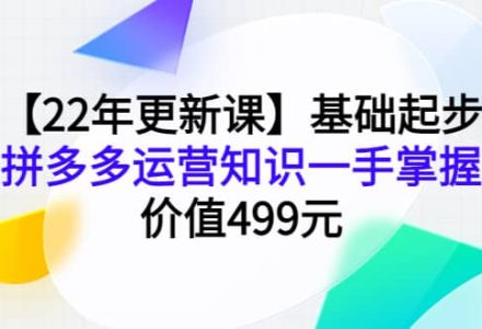 【22年更新课】基础起步，拼多多运营知识一手掌握，价值499元-创艺项目网