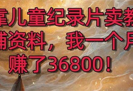 靠儿童纪录片卖教辅资料，一个月赚了36800！暴力变现2.0版本，喂饭级教学-创艺项目网