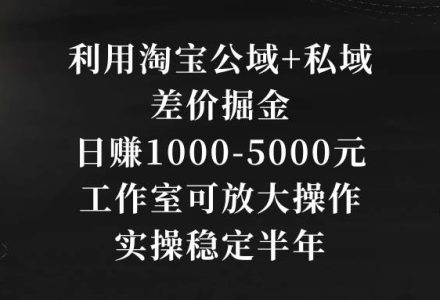 利用淘宝公域+私域差价掘金，日赚1000-5000元，工作室可放大操作，实操…-创艺项目网