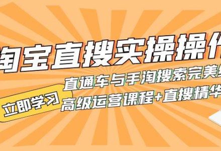 淘宝直搜实操操作 直通车与手淘搜索完美结合（高级运营课程 直搜精华实战）-创艺项目网