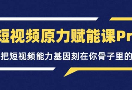 短视频原力赋能课Pro，把短视频能力基因刻在你骨子里的课（价值4999元）-创艺项目网