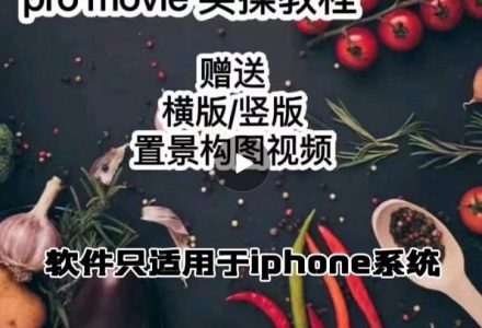 漆十二美食摄影，25​节promovie实操高手课节-创艺项目网