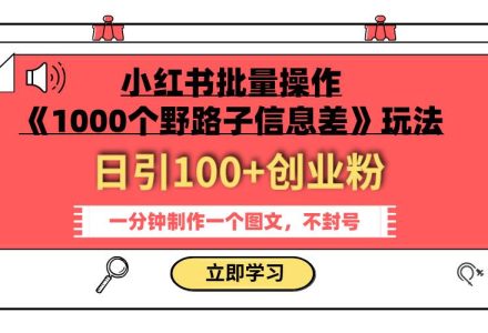 小红书批量操作《1000个野路子信息差》玩法 日引100 创业粉 一分钟一个图文-创艺项目网