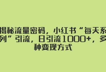 揭秘流量密码，小红书“每天系列”引流，日引流1000 ，多种变现方式-创艺项目网