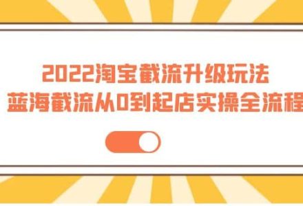 2022淘宝截流升级玩法：蓝海截流从0到起店实操全流程 价值千元-创艺项目网