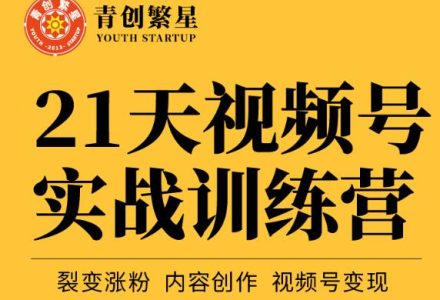 张萌21天视频号实战训练营，裂变涨粉、内容创作、视频号变现 价值298元-创艺项目网