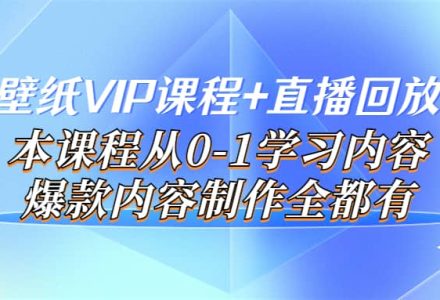 闪闪壁纸VIP课程 直播回放【新】本课程从0-1学习内容，爆款内容制作全都有-创艺项目网