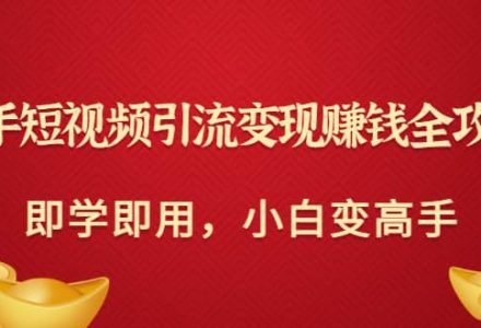 快手短视频引流变现赚钱全攻略：即学即用，小白变高手（价值980元）-创艺项目网