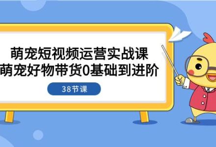 萌宠·短视频运营实战课：萌宠好物带货0基础到进阶（38节课）-创艺项目网