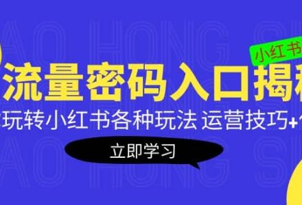 小红书流量密码入口揭秘：带你玩转小红书各种玩法 运营技巧 优化-创艺项目网