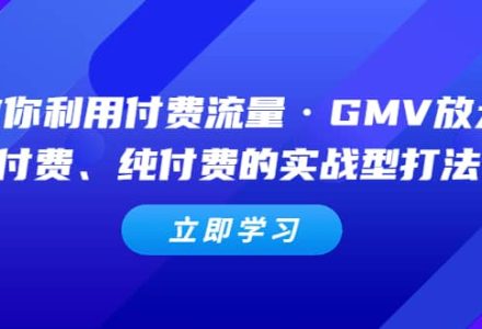 教你利用付费流量·GMV放大，微付费、纯付费的实战型打法-创艺项目网