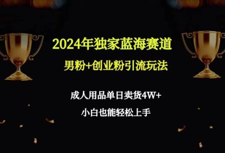 2024年独家蓝海赛道男粉+创业粉引流玩法，成人用品单日卖货4W+保姆教程-创艺项目网