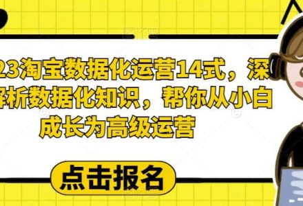 2023淘宝数据化-运营 14式，深度解析数据化知识，帮你从小白成长为高级运营-创艺项目网