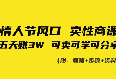 情人节风口！卖性商课，小白五天赚3W，可卖可学可分享！-创艺项目网