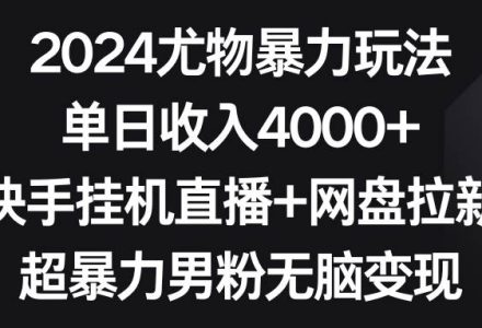 2024尤物暴力玩法 单日收入4000+快手挂机直播+网盘拉新 超暴力男粉无脑变现-创艺项目网