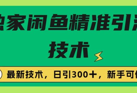 独家闲鱼引流技术，日引300＋实战玩法-创艺项目网