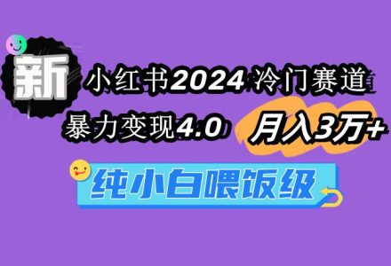 小红书2024冷门赛道 月入3万+ 暴力变现4.0 纯小白喂饭级-创艺项目网