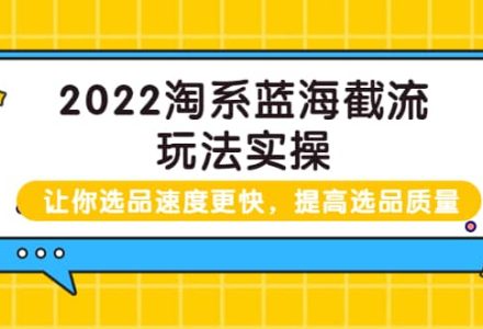 2022淘系蓝海截流玩法实操：让你选品速度更快，提高选品质量（价值599）-创艺项目网