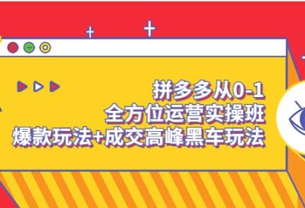 拼多多从0-1全方位运营实操班：爆款玩法 成交高峰黑车玩法（价值1280）-创艺项目网