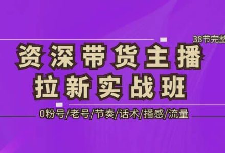 资深·带货主播拉新实战班，0粉号/老号/节奏/话术/播感/流量-38节完整版-创艺项目网