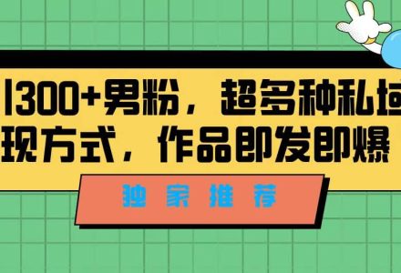 独家推荐！日引300 男粉，超多种私域变现方式，作品即发即报-创艺项目网