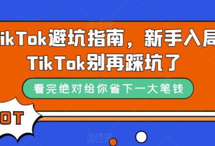 TikTok·避坑指南，新手入局Tk别再踩坑了（10节课）-创艺项目网