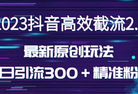 日引300＋创业粉，独家抖音高效截流2.0玩法（价值1280）-创艺项目网