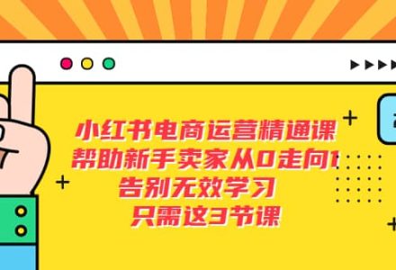 小红书电商·运营精通课，帮助新手卖家从0走向1 告别无效学习（7节视频课）-创艺项目网