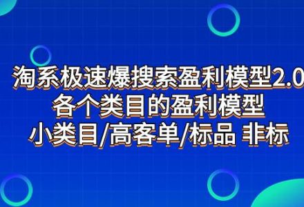 淘系极速爆搜索盈利模型2.0，各个类目的盈利模型，小类目/高客单/标品 非标-创艺项目网