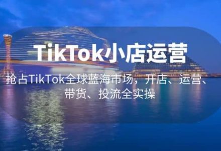 TikTok小店运营 抢占TikTok全球蓝海市场，开店、运营、带货、投流全实操-创艺项目网