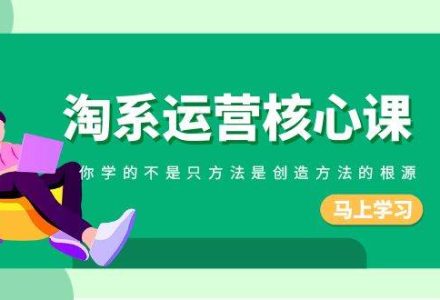 淘系-运营核心课，你学的不是只方法是创造方法的根源（190节课）-创艺项目网