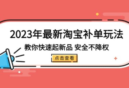 2023年最新淘宝补单玩法，教你快速起·新品，安全·不降权（18课时）-创艺项目网