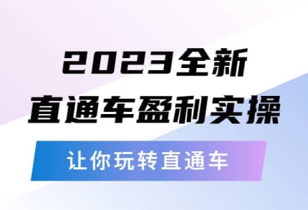 2023全新直通车·盈利实操：从底层，策略到搭建，让你玩转直通车-创艺项目网