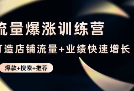 流量爆涨训练营：打造店铺流量 业绩快速增长 (爆款 搜索 推荐)-创艺项目网