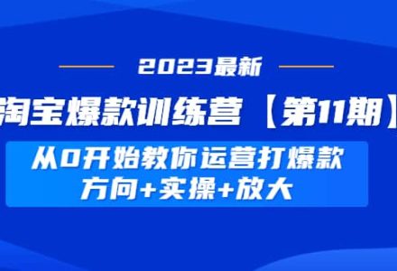 淘宝爆款训练营【第11期】 从0开始教你运营打爆款，方向 实操 放大-创艺项目网