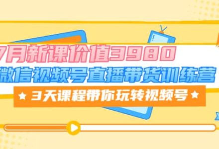 微信视频号直播带货训练营，3天课程带你玩转视频号：7月新课价值3980-创艺项目网