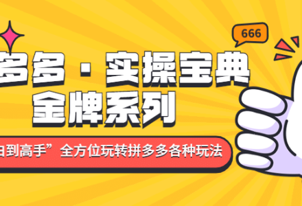 拼多多·实操宝典：金牌系列“小白到高手”带你全方位玩转拼多多各种玩法-创艺项目网