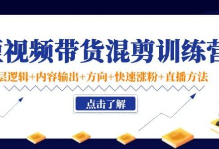 短视频带货混剪训练营：底层逻辑 内容输出 方向 快速涨粉 直播方法！-创艺项目网