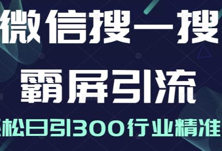 微信搜一搜霸屏引流课，打造被动精准引流系统，轻松日引300行业精准粉【无水印】-创艺项目网