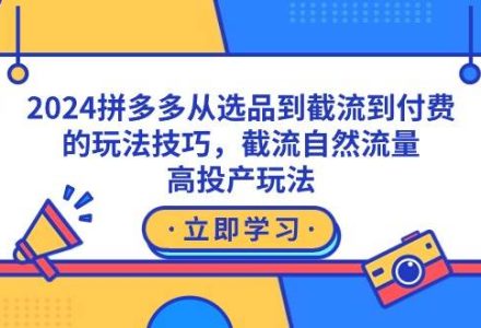 2024拼多多从选品到截流到付费的玩法技巧，截流自然流量玩法，高投产玩法-创艺项目网