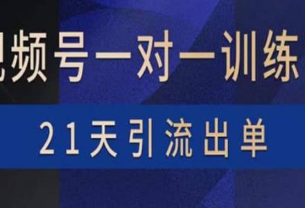 视频号训练营：带货，涨粉，直播，游戏，四大变现新方向，21天引流出单-创艺项目网