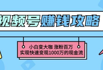 玩转微信视频号赚钱：小白变大咖涨粉百万实现快速变现1000万的现金流-创艺项目网