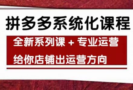 车神陪跑，拼多多系统化课程，全新系列课 专业运营给你店铺出运营方向-创艺项目网