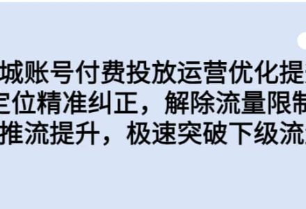 同城账号付费投放运营优化提升，定位精准纠正，解除流量限制，自然推流提升，极速突破下级流量池-创艺项目网